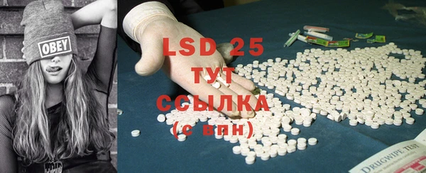 гашик Новозыбков